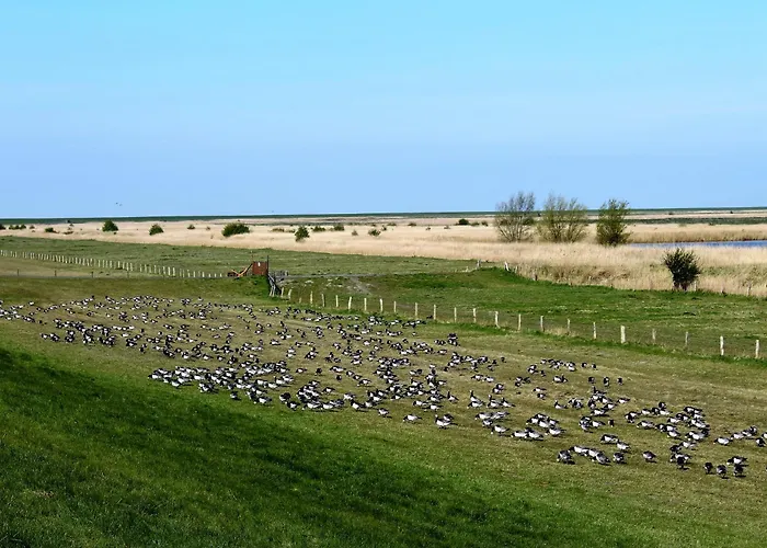 Stillhoern Апартаменты Крумхёрн